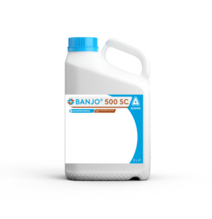 Billede af Banjo 5 l dunk